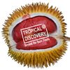 tropical_discovery