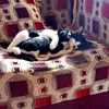 widiya_011