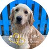 tatteredpawsrescue