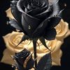 user8753001685584