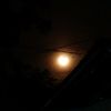 ghina_1211