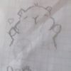 josaron23