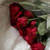 fatmah2246
