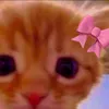 zei_43u