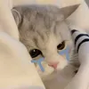 thankcao102