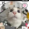 minhtue01477
