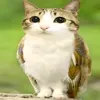 usersj3s1idapc