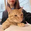 mimisharing