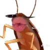 boabene119
