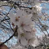 huyen280788