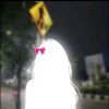 maalop3