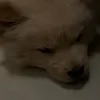 ♡