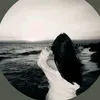 aopdveo_80