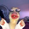 anisa13u