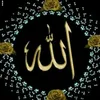taqanakam0208