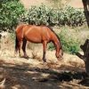 usermrl253kyz8