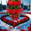 user913652218626