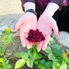 الجنوبيه. 🌹