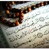 mahmud81265