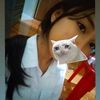 likuon10