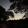 michae2468