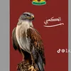 alialkaby802