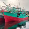 suliwa4349