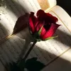 user9511146994146