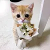 zephhyr_21