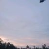 uwongedan098