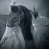 user9489127276965