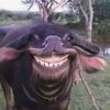 user342301525041