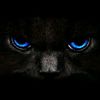 elvis_teck00