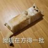 chengru3