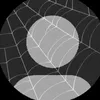 lari_12300.k
