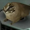 zielonywonsz
