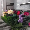malak33.fr