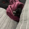 jriv_2414
