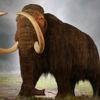 un_mamut_oficial