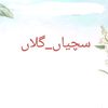 سچیاں  گلاں