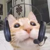 mew_mew3105