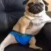 hehshsgaoufsusups