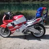pitersurr