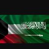 sayleal_sayle