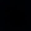 riss30231