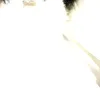 crf_marcus
