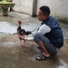 manhhoca