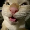 iamnotinevitable
