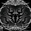 drako99386