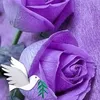 user9av9e1mdj0